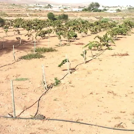 Rural Rugama Alloggio per agriturismo Puerto del Rosario (Fuerteventura)