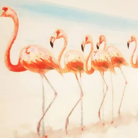 Rural Rugama ファームステイ プエルト・デル・ロサリオ